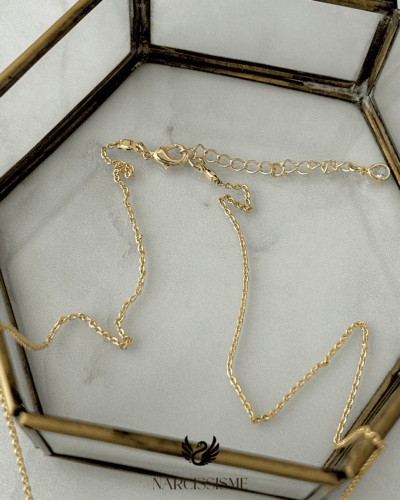 Collar Obsi - Image 4