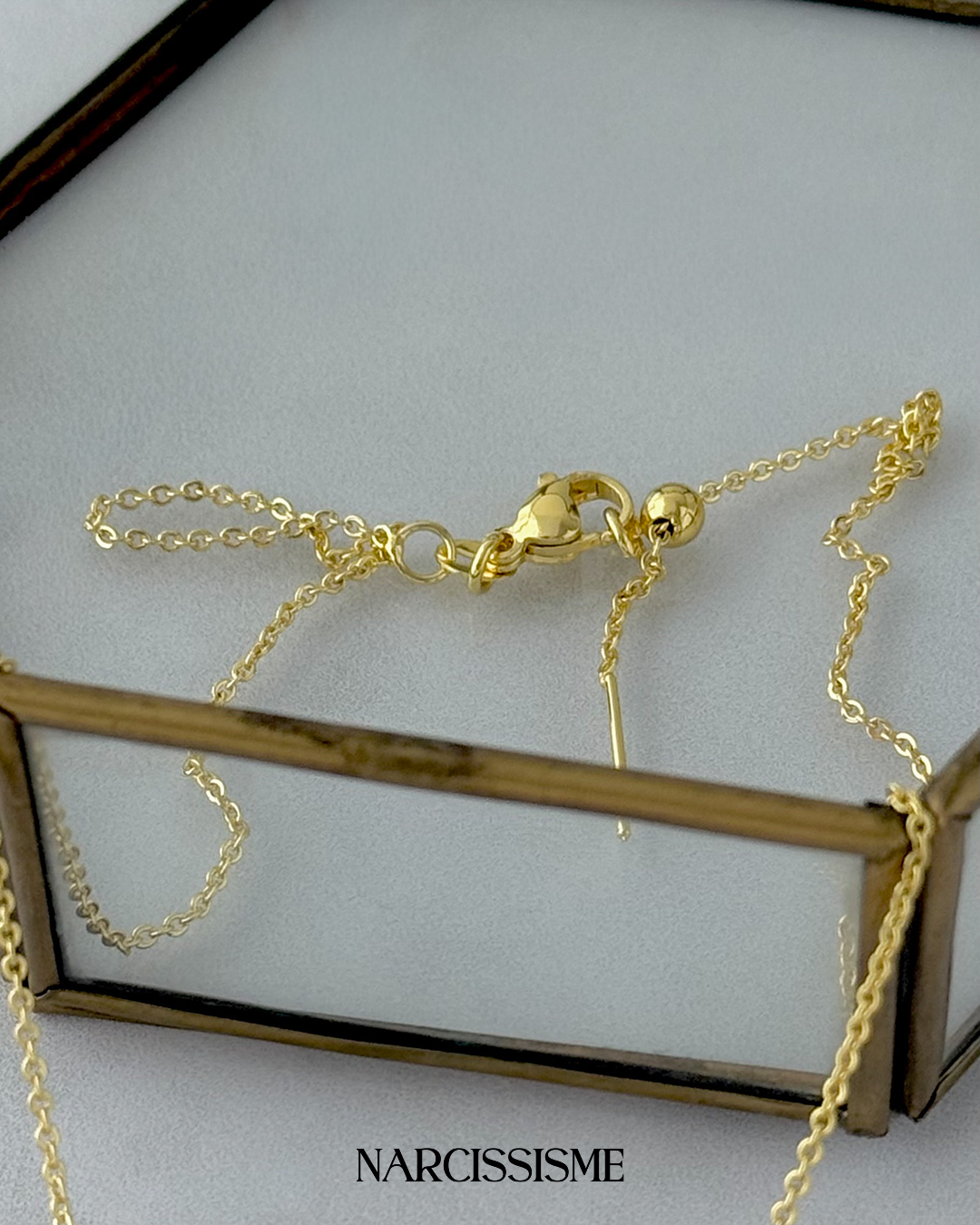 Collar Leopard - Image 5